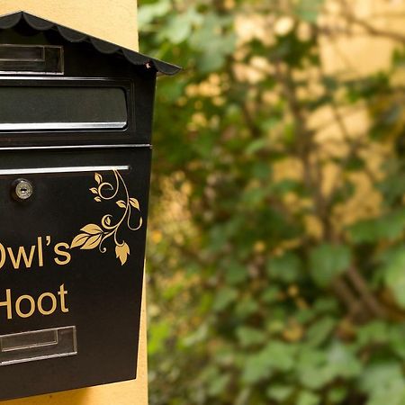 Owl'S Hoot Villa Thorndon Luaran gambar