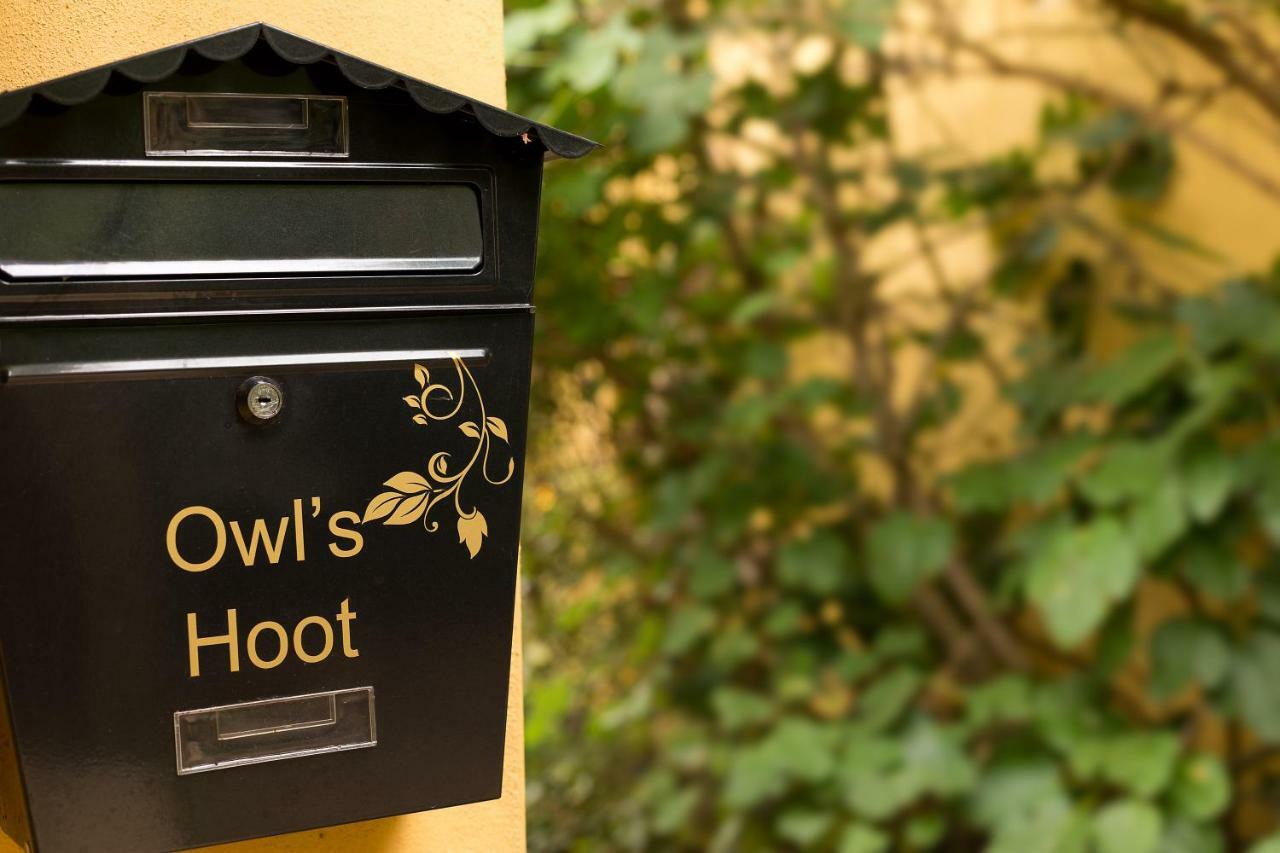 Owl'S Hoot Villa Thorndon Luaran gambar